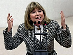 CHP'li Serter Sesini Yükseltince...