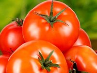 Rusya 3 yıl daha Türkiye'den domates almayacak